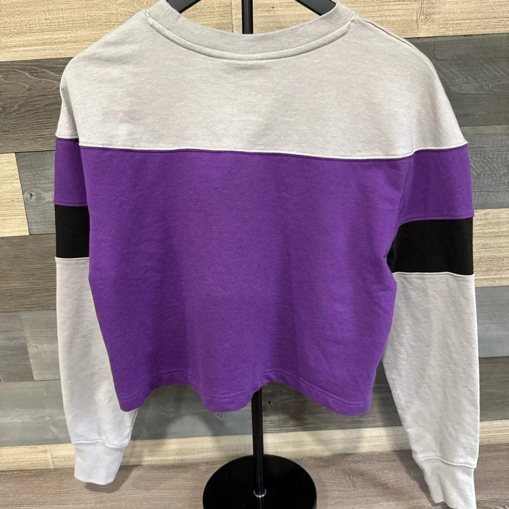 Batman SM Junior's Logo Kanji Color Block Purple Long Sleeve Cropped‎ Sweatshirt
